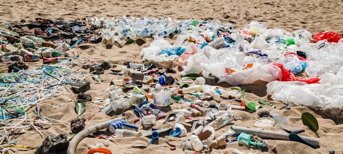 El grave impacto del plástico en nuestras costas y las medidas que podemos adoptar 